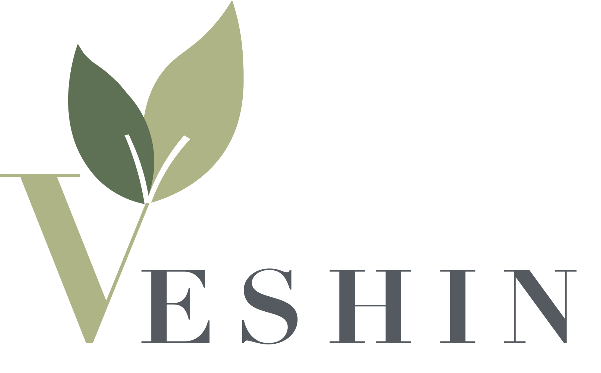 Veshin